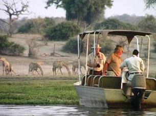 Chobe River game viewing