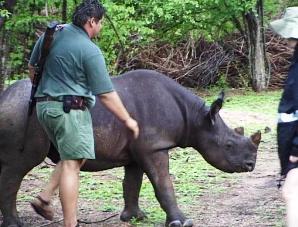 Matusadona - Black Rhino Intensive Protection Zone